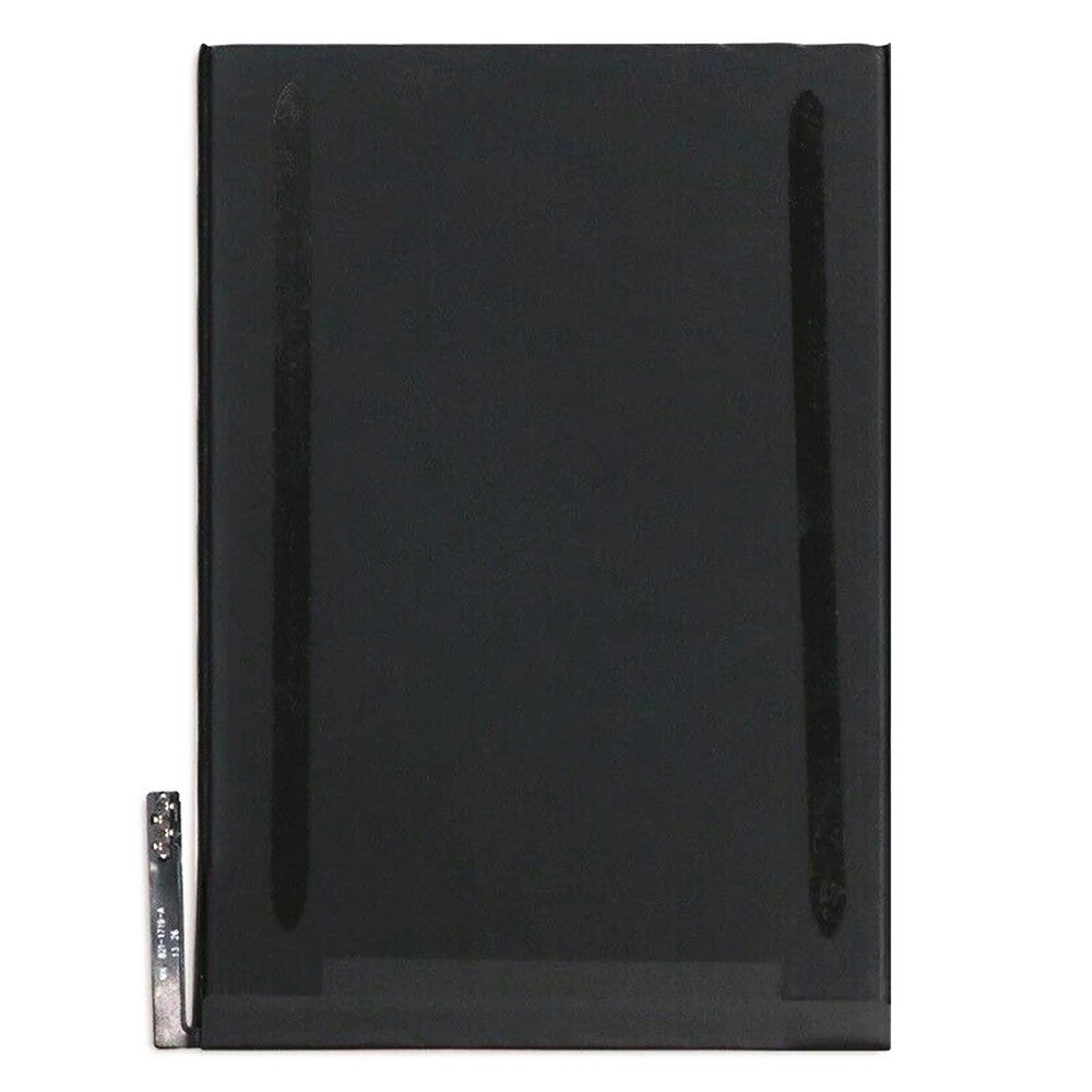 iPad Parts