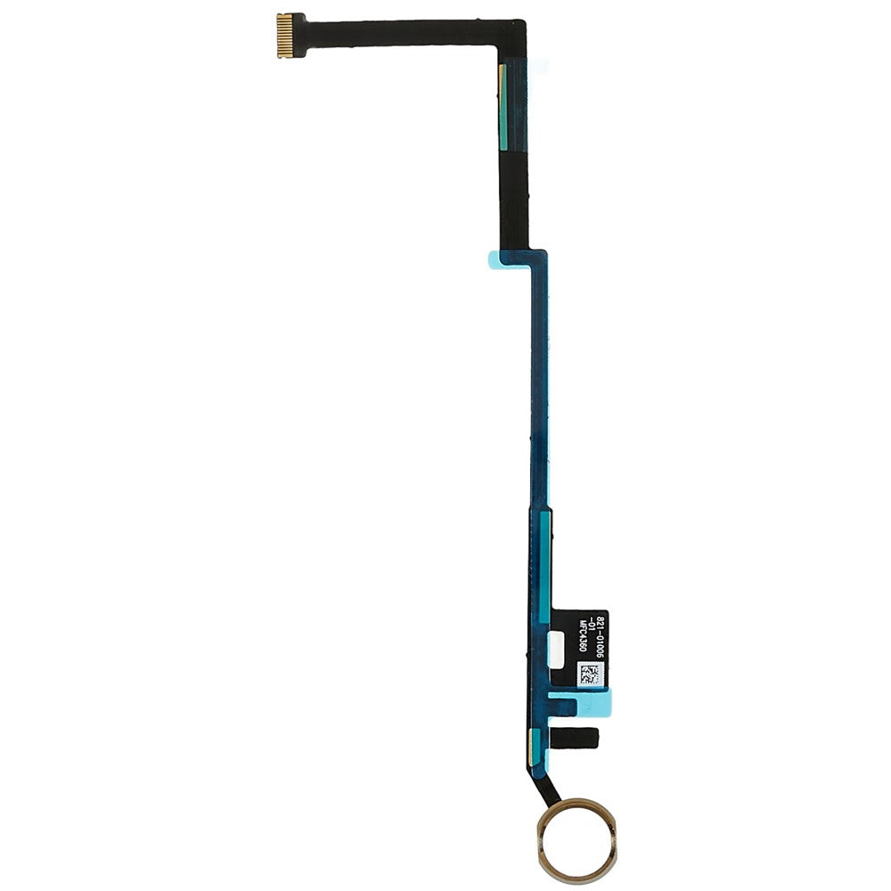 iPad Parts