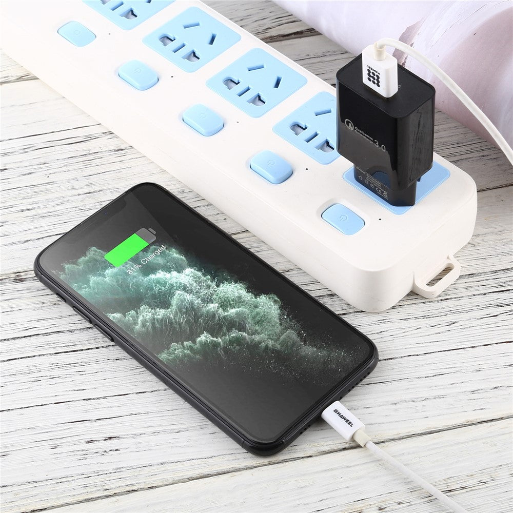 Wall Charger 