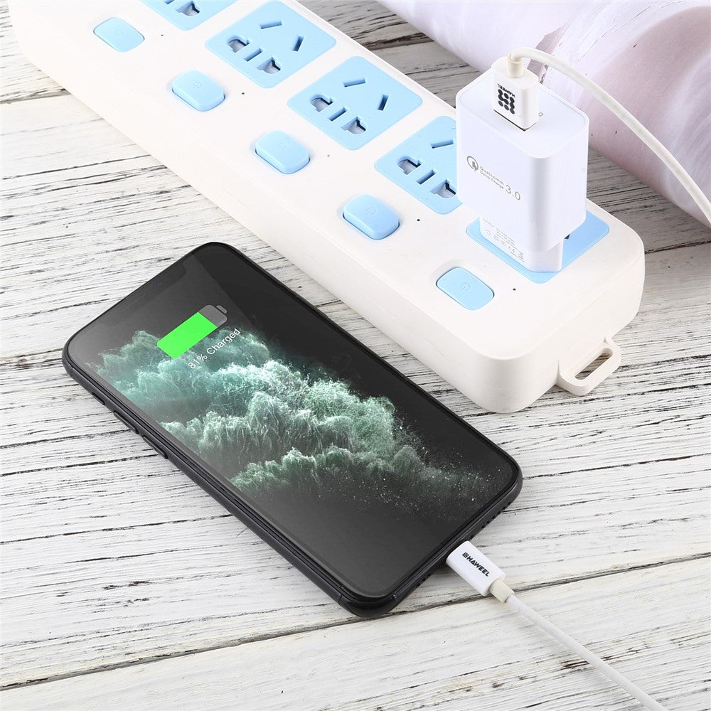 Wall Charger 
