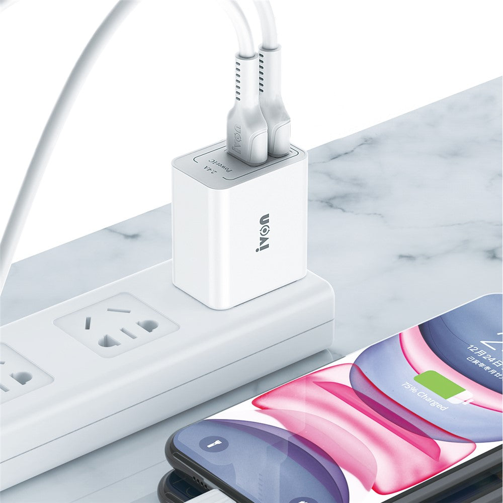 Wall Charger 
