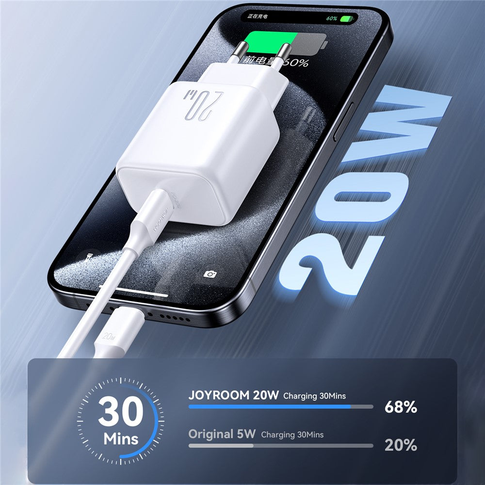 Wall Charger 