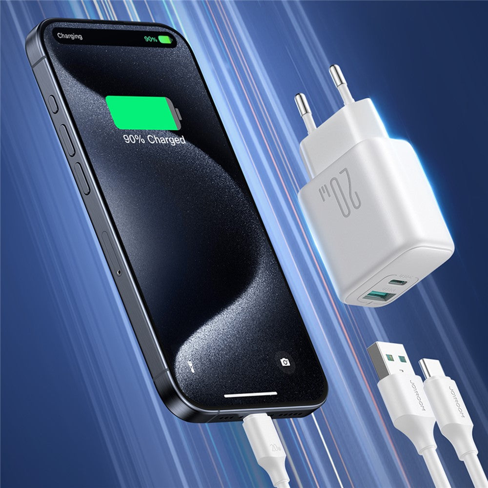 Wall Charger 