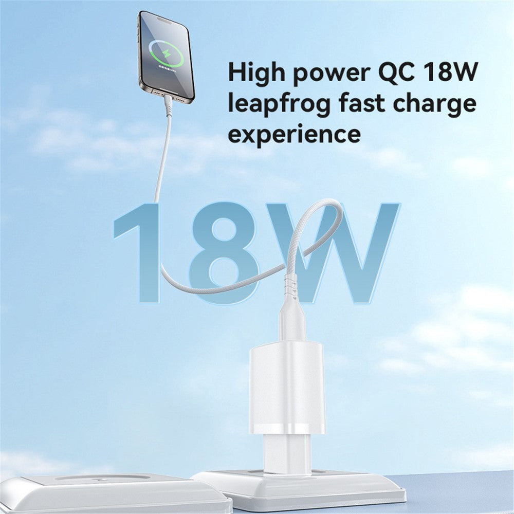 Wall Charger 
