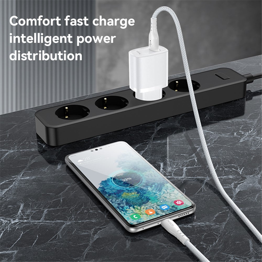 Wall Charger 