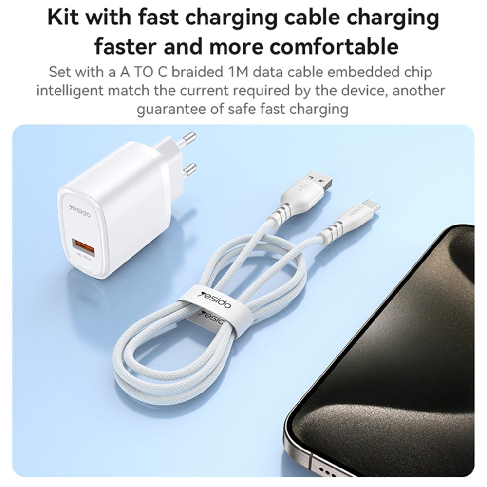 Wall Charger 