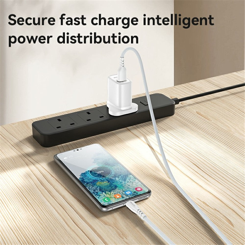 Wall Charger 