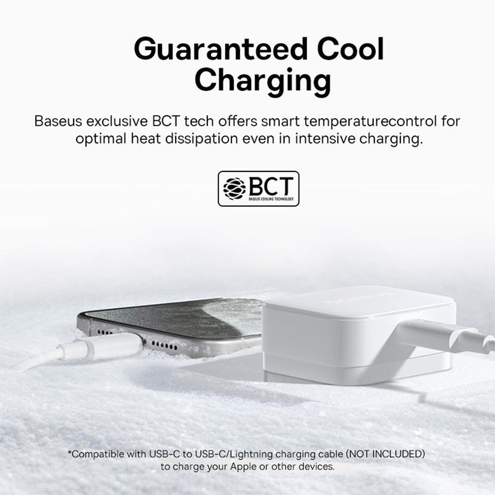 Wall Charger 