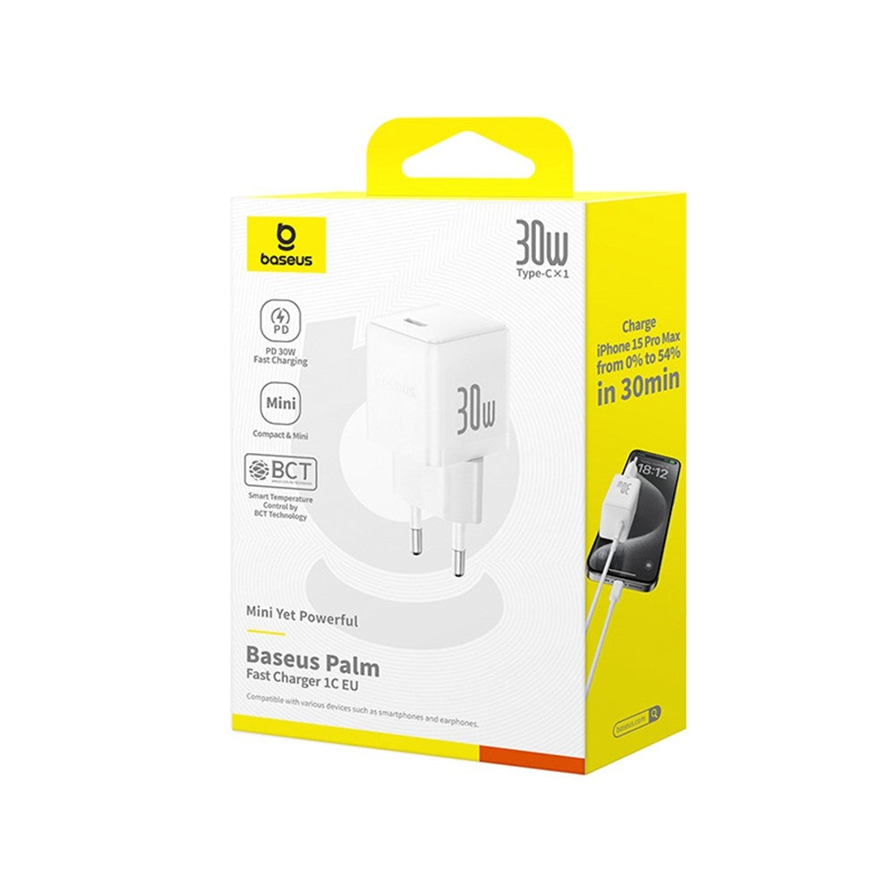 Wall Charger 