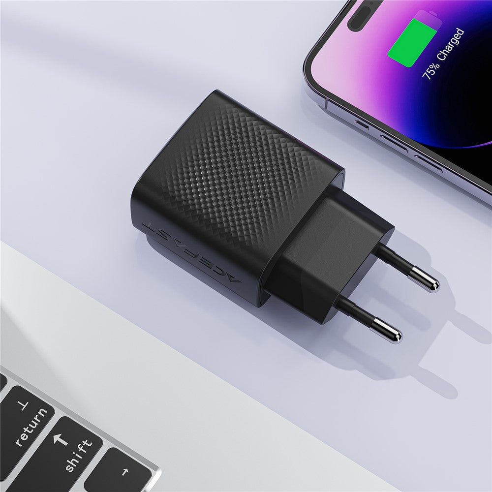 Wall Charger 