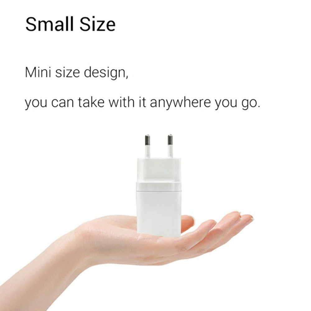 Wall Charger 
