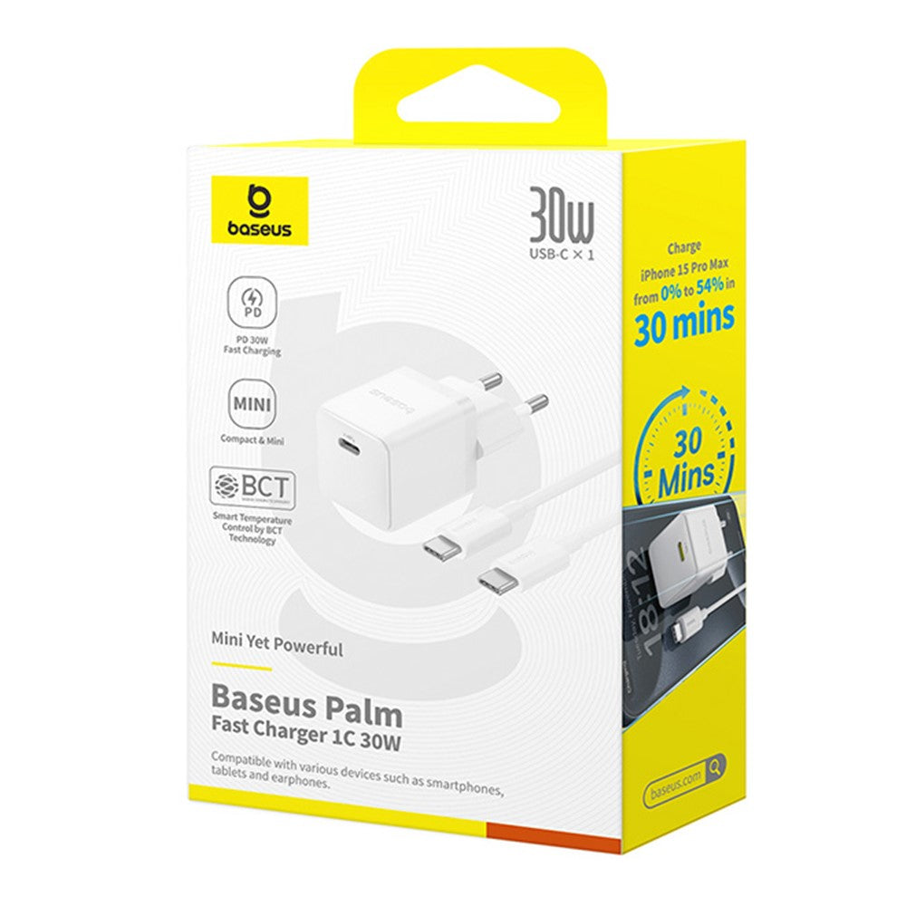 Wall Charger 