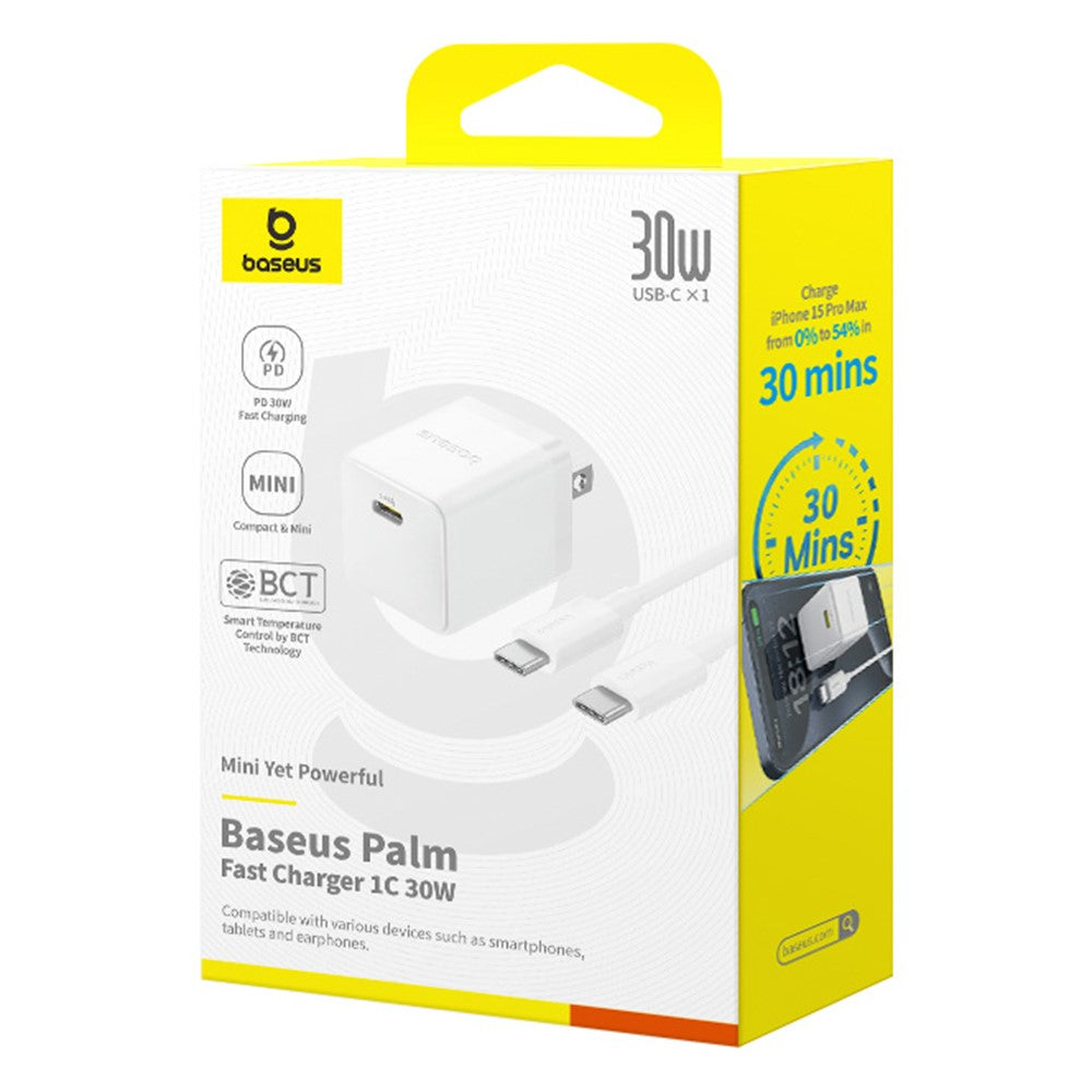 Wall Charger 