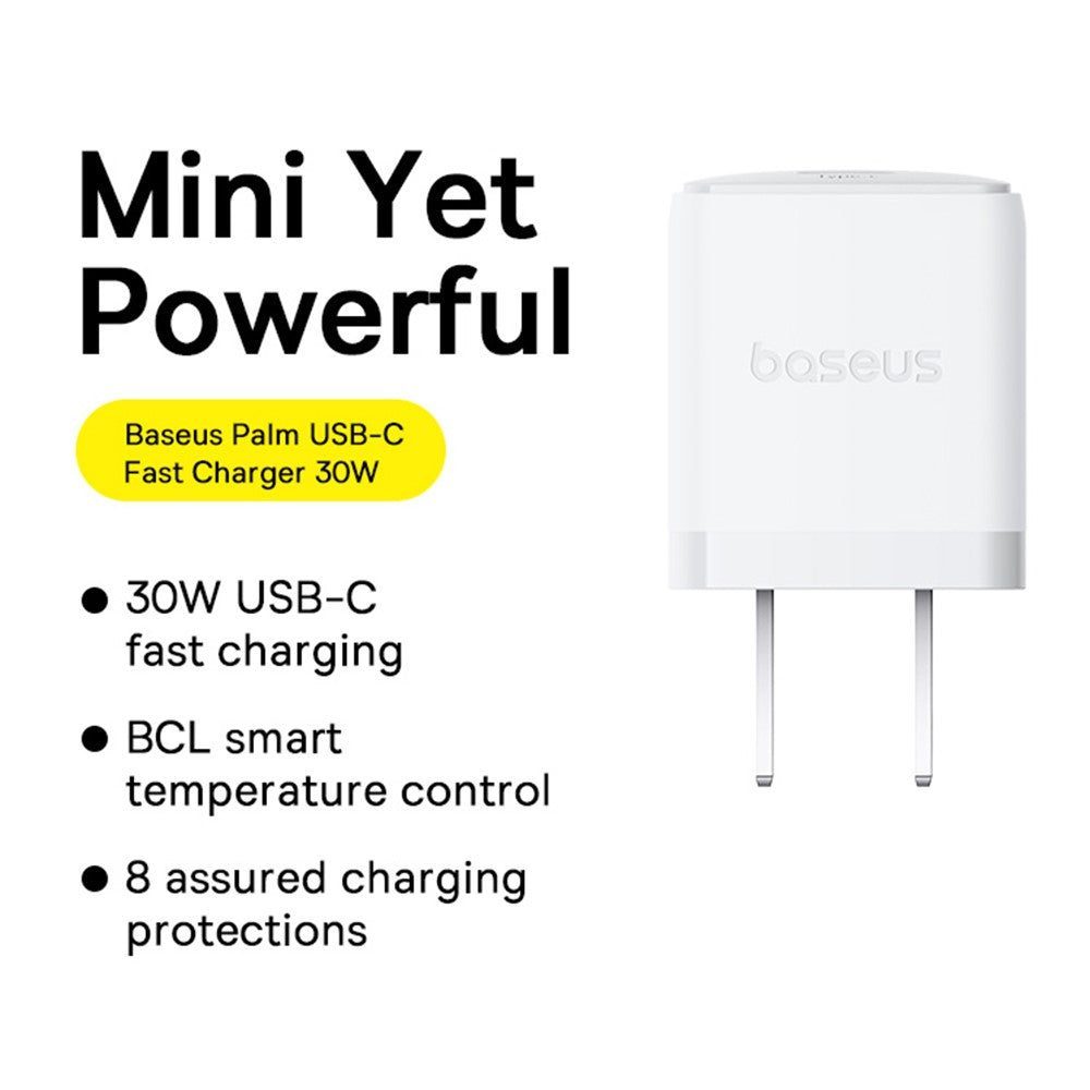Wall Charger 