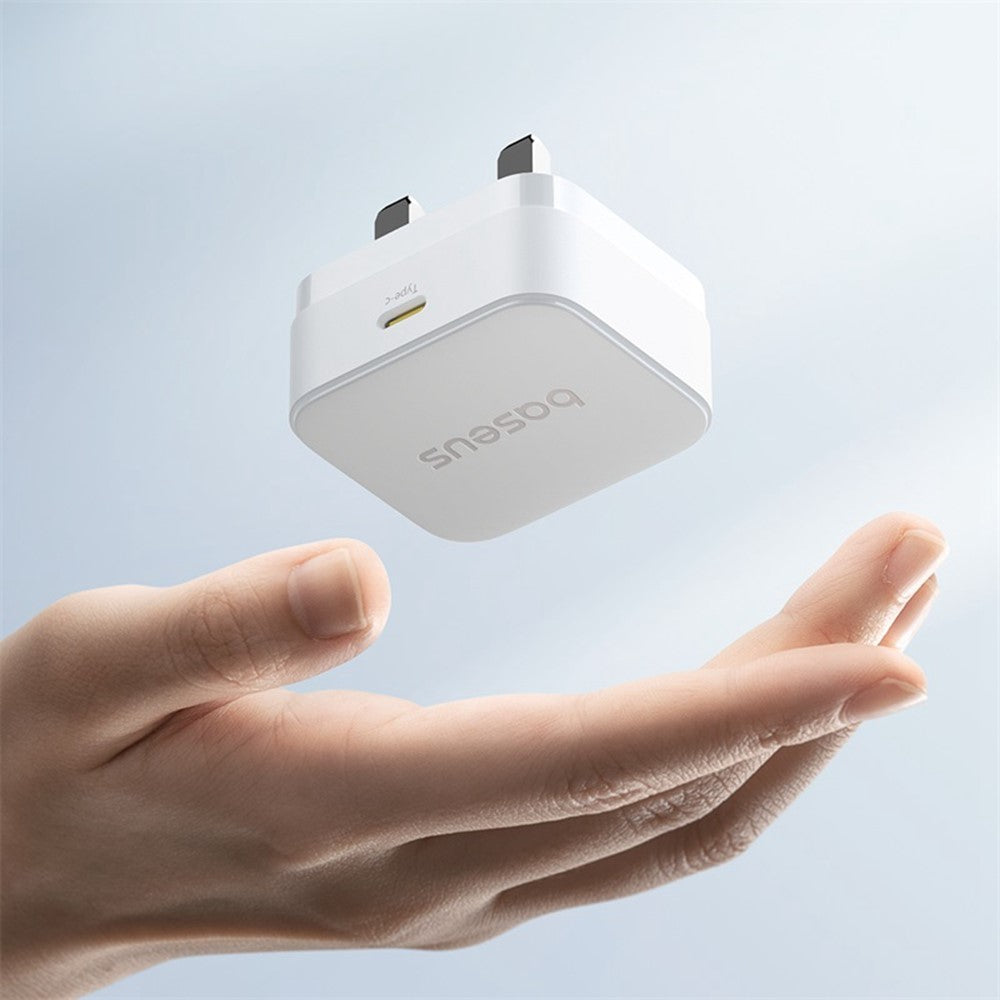 Wall Charger 
