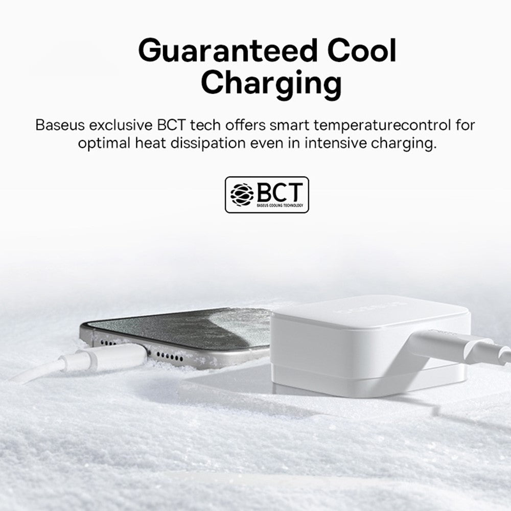 Wall Charger 