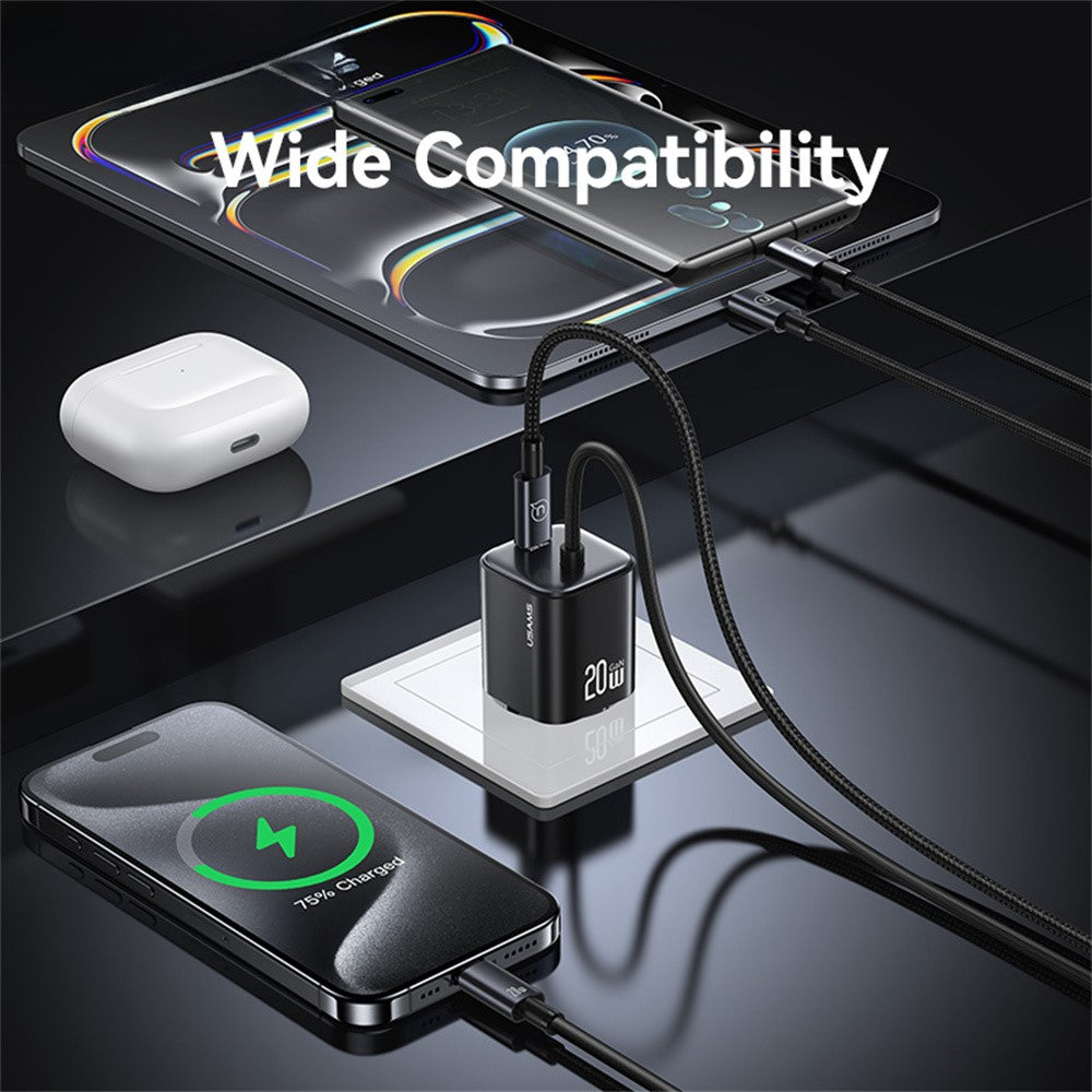 Wall Charger 
