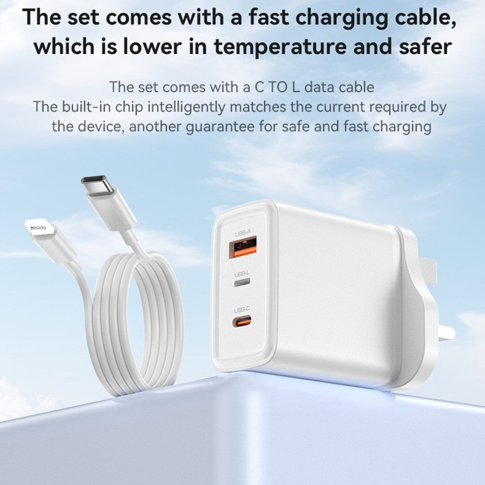 Wall Charger 