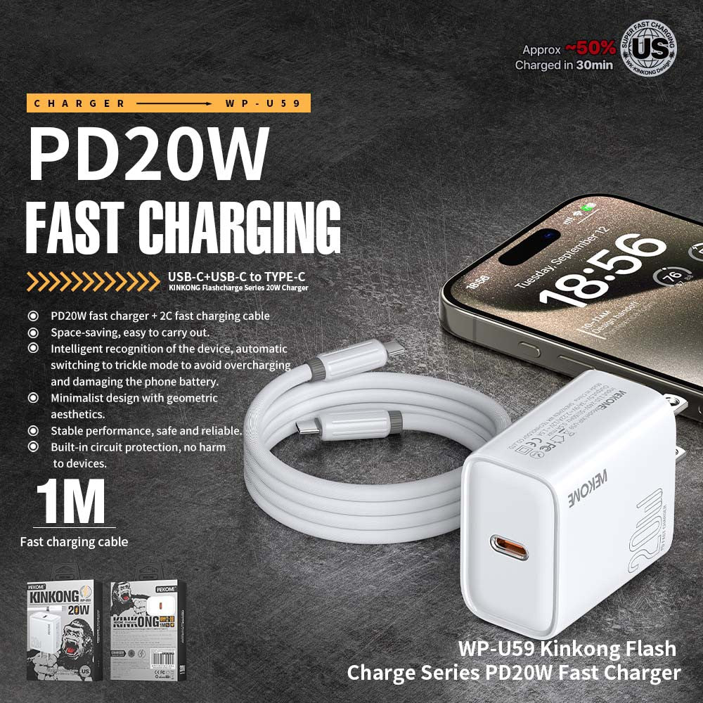 Wall Charger 