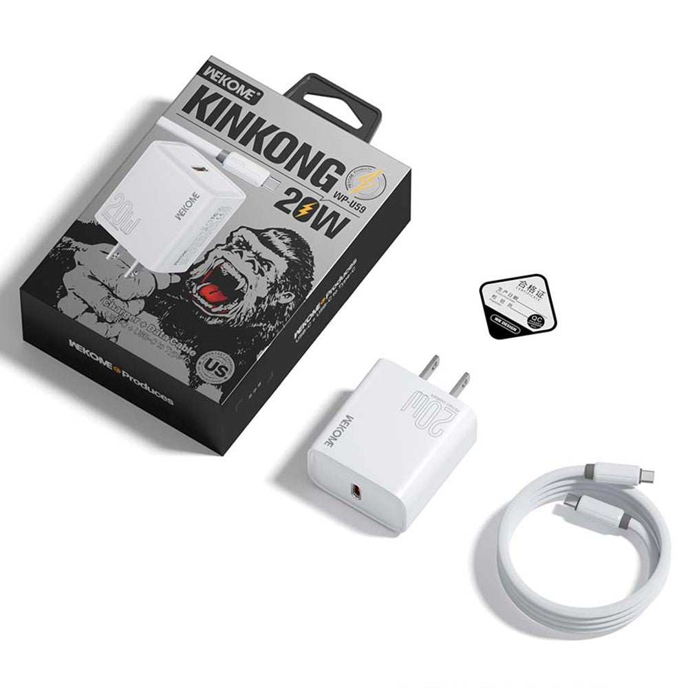 Wall Charger 