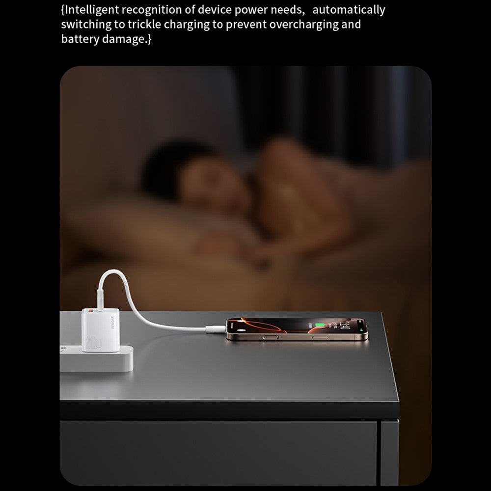 Wall Charger 