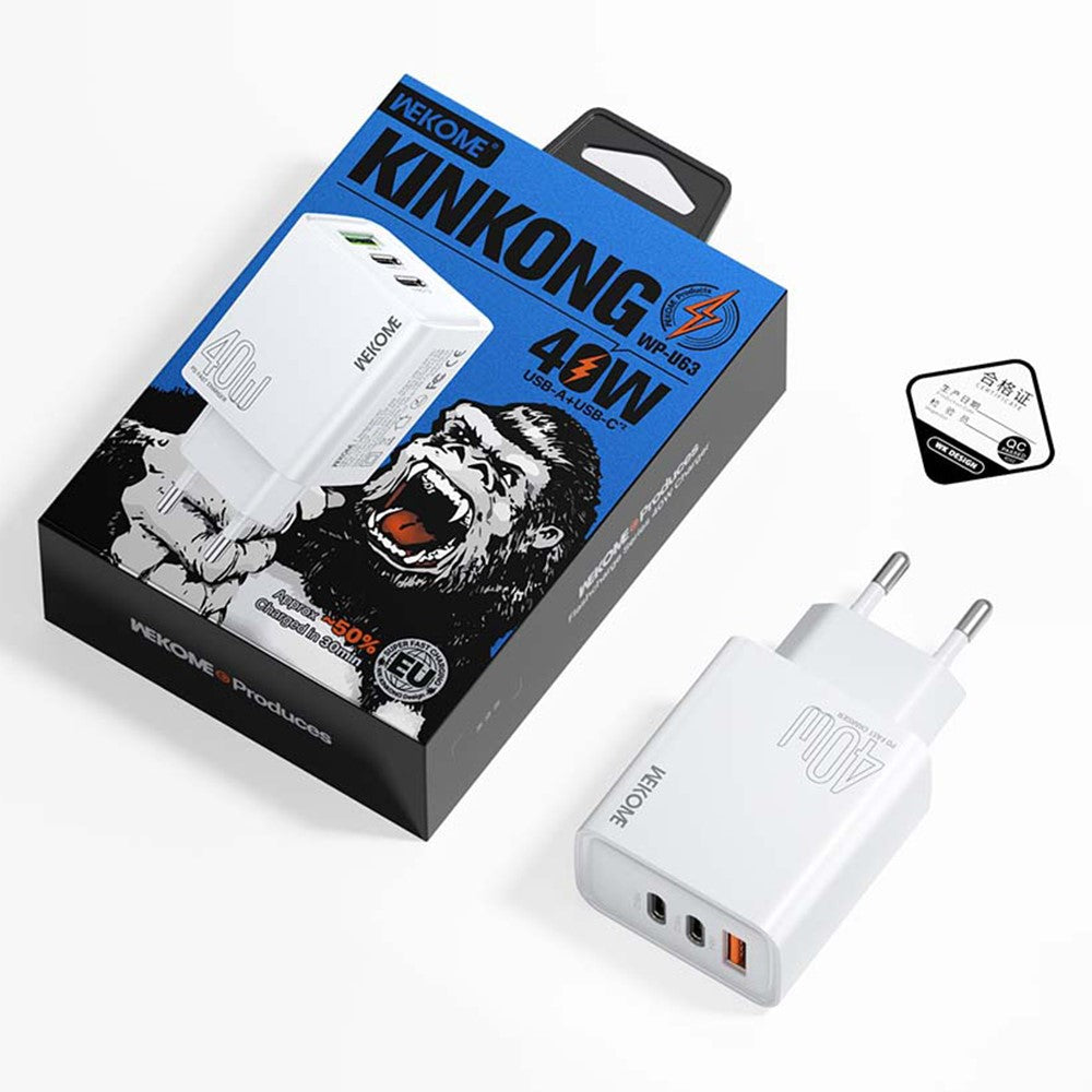 Wall Charger 