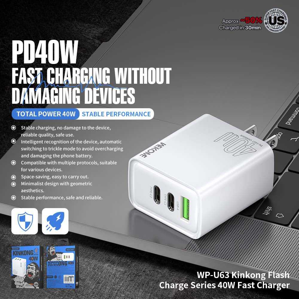 Wall Charger 