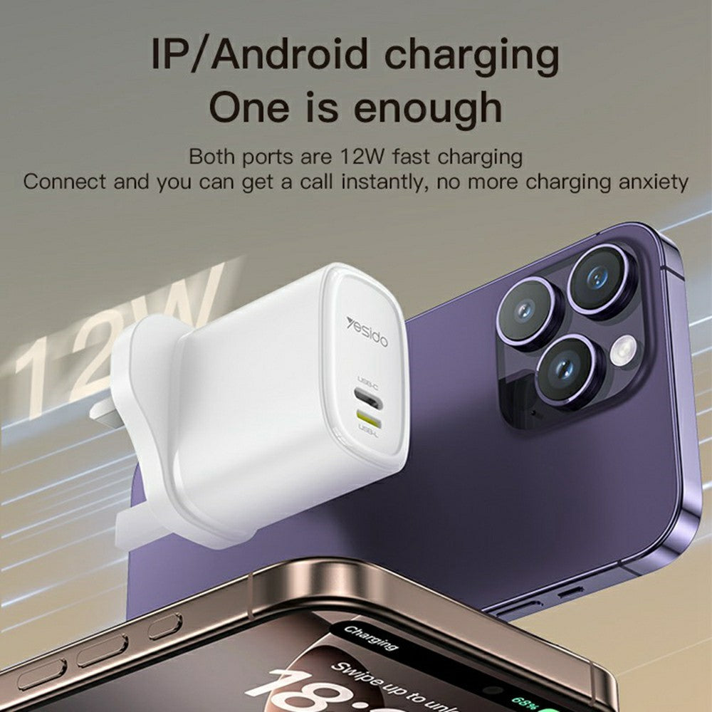 Wall Charger 