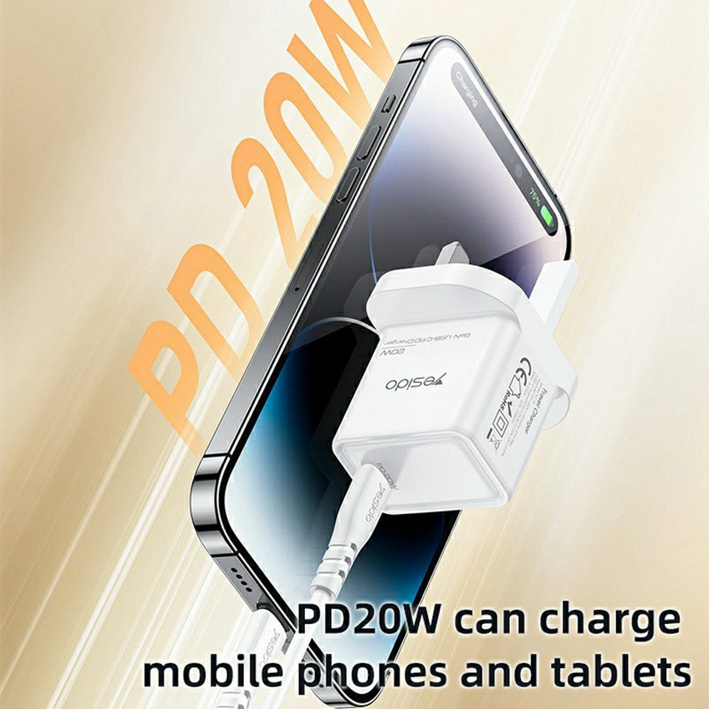 Wall Charger 