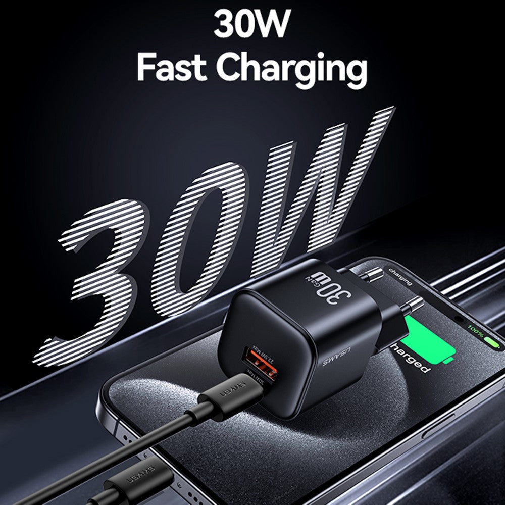 Wall Charger 