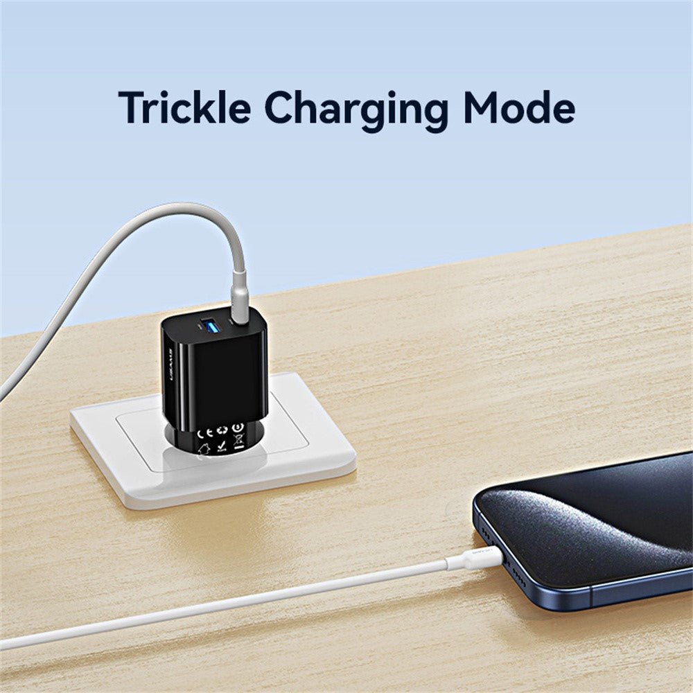 Wall Charger 