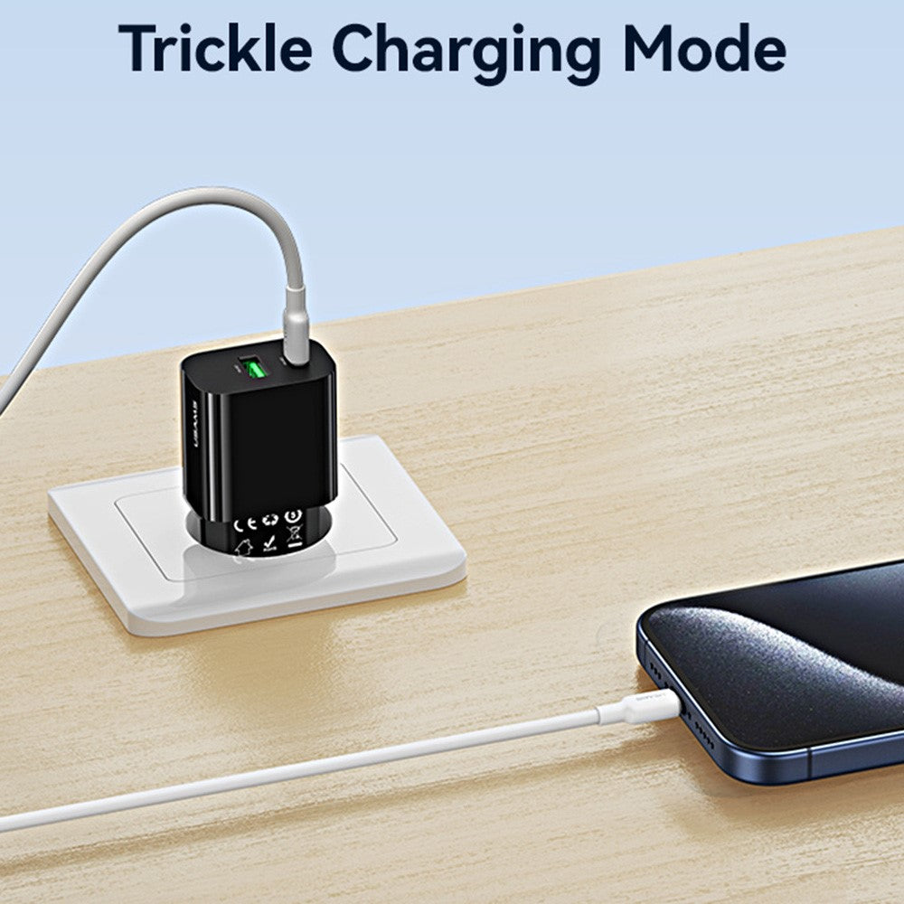 Wall Charger 
