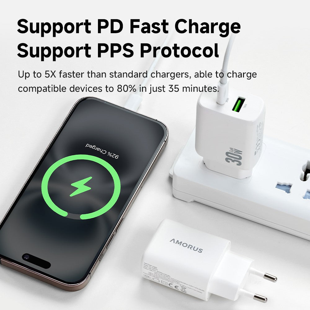 Wall Charger 