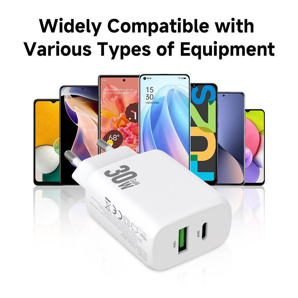 Wall Charger 