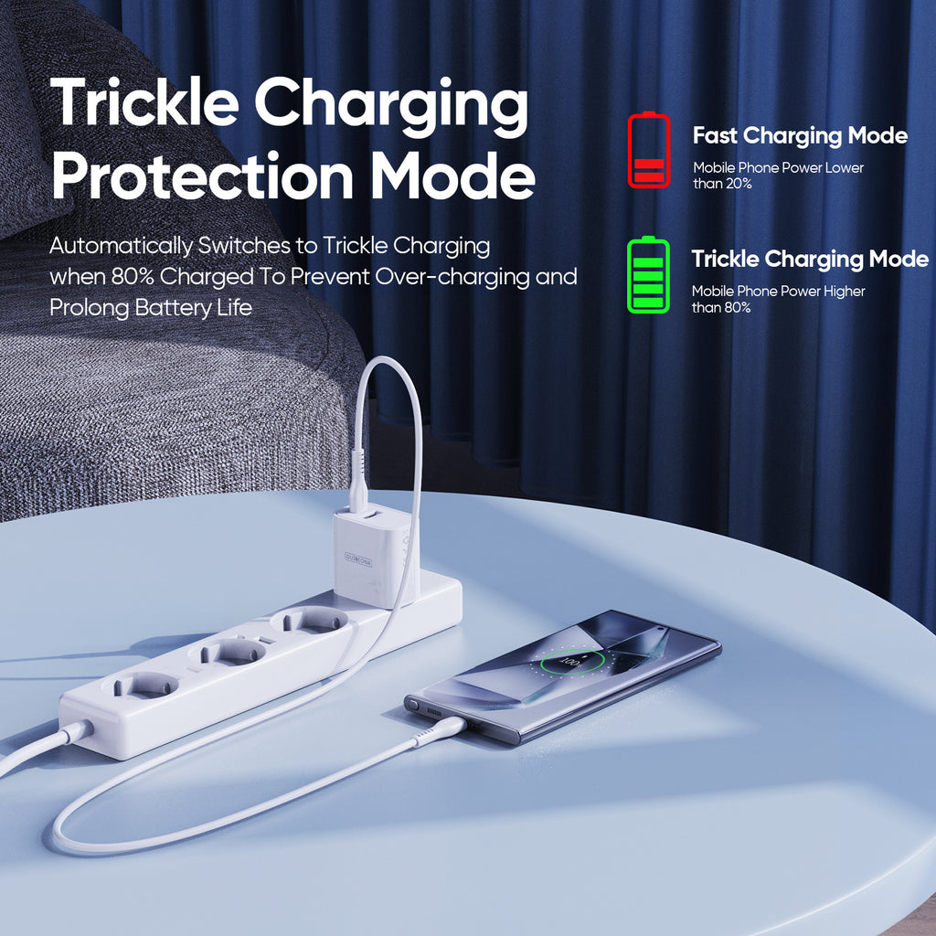 Wall Charger 
