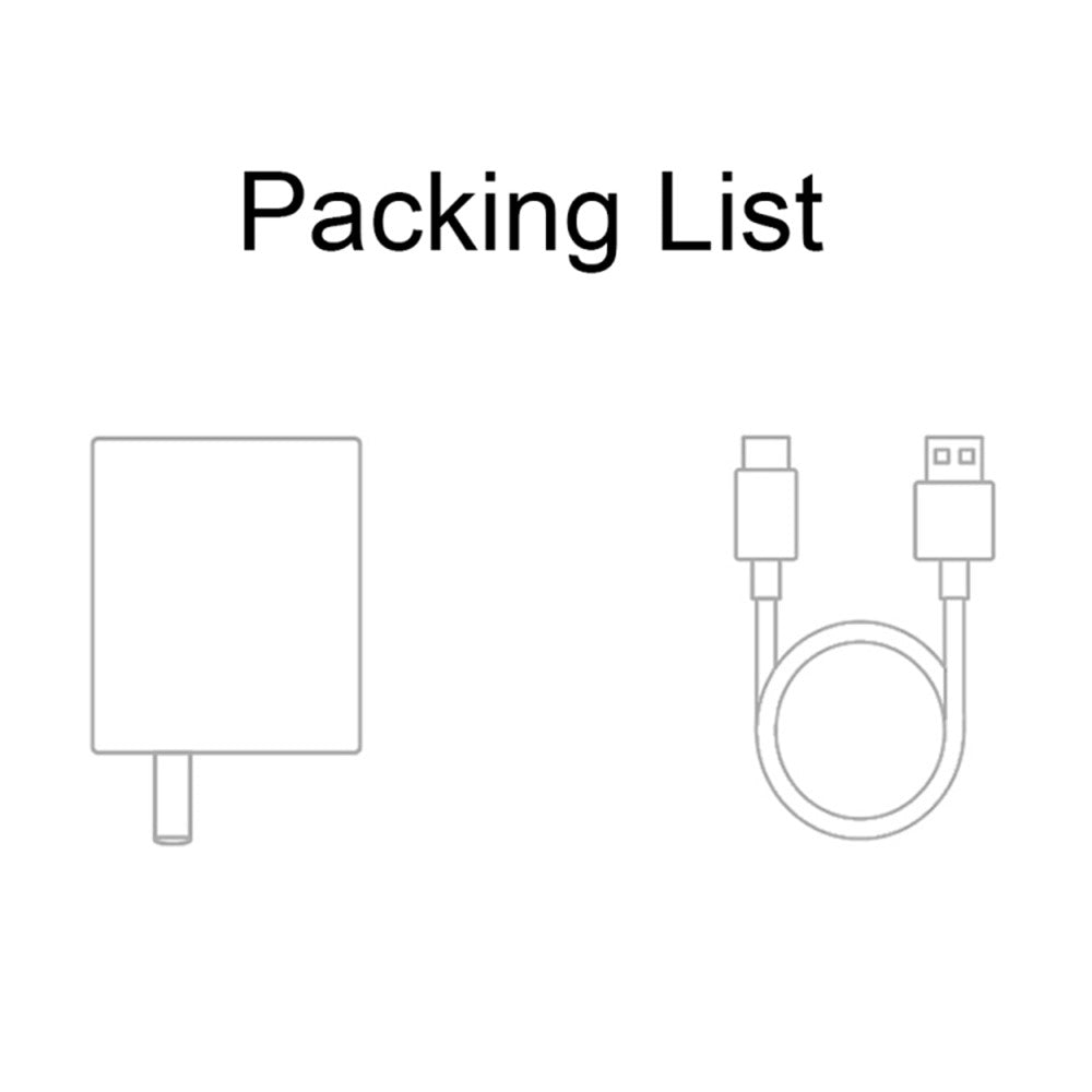 Wall Charger 