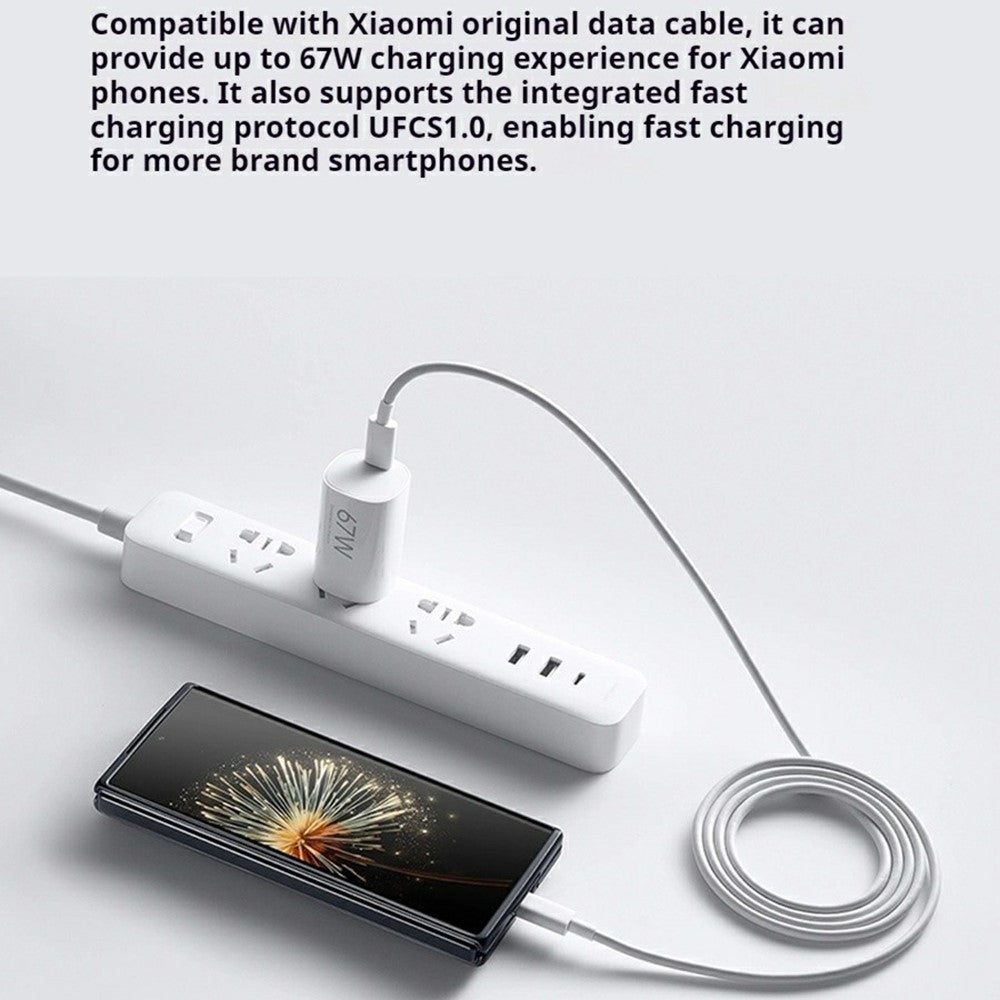 Wall Charger 
