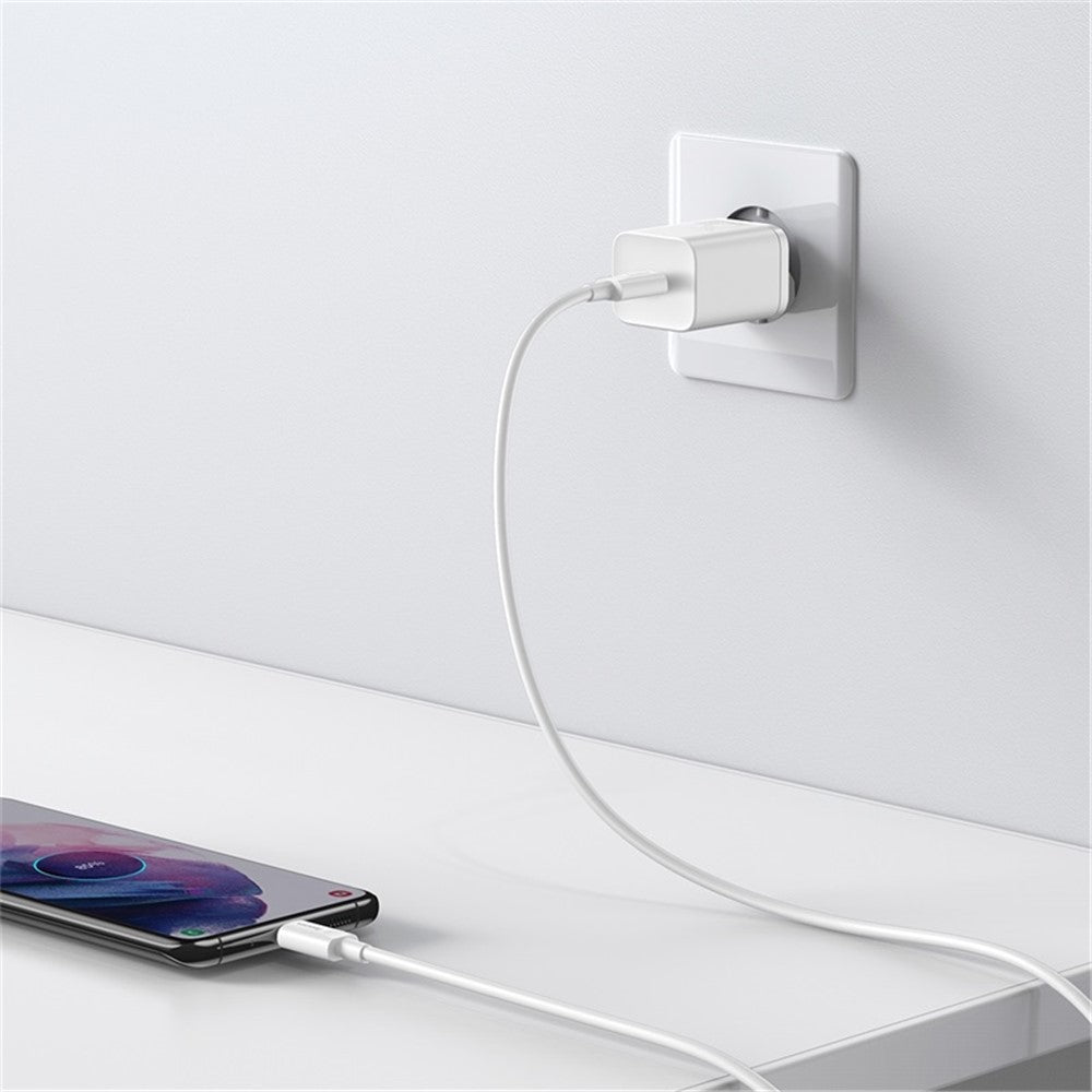 Wall Charger 