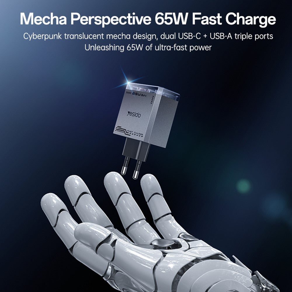 Wall Charger 