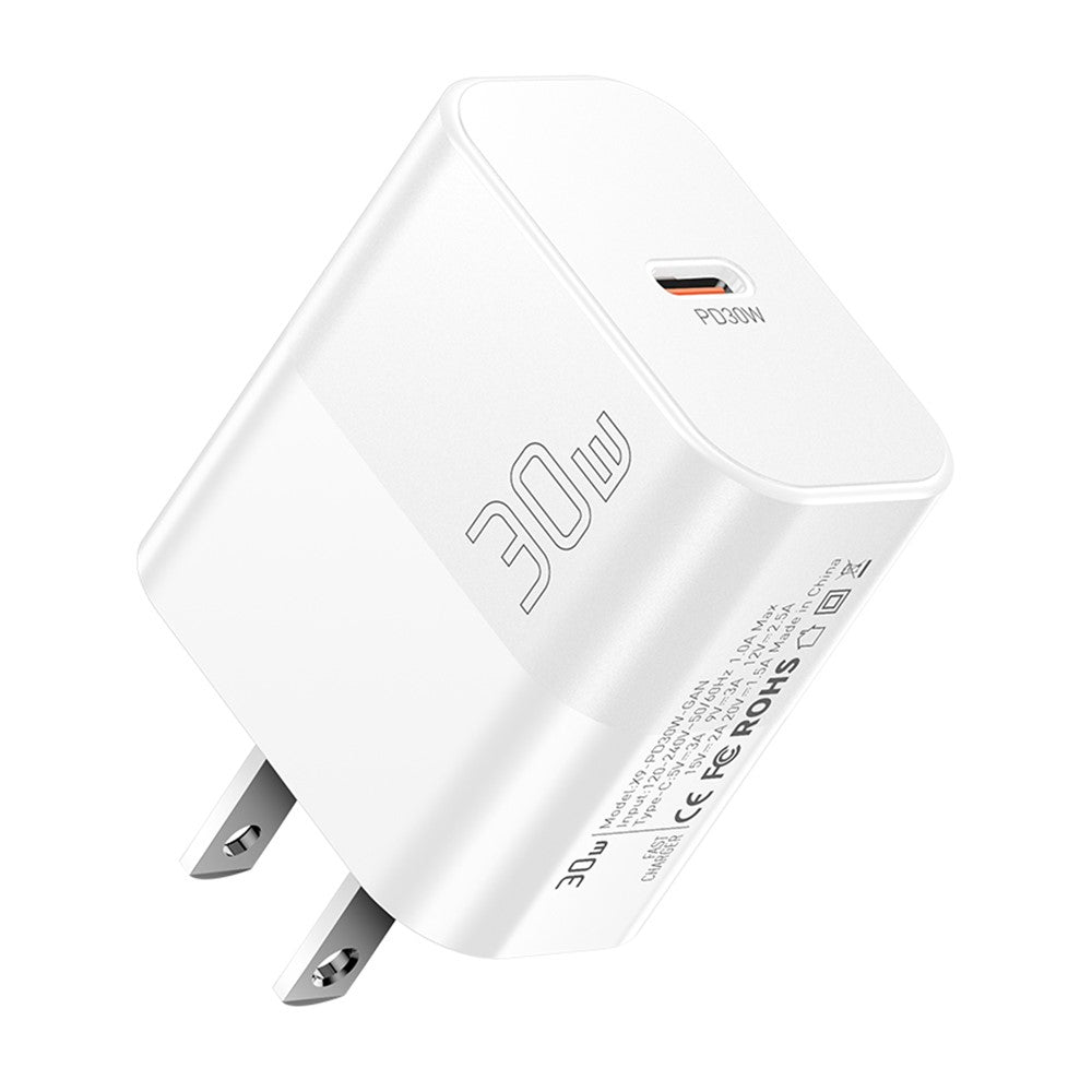Wall Charger 