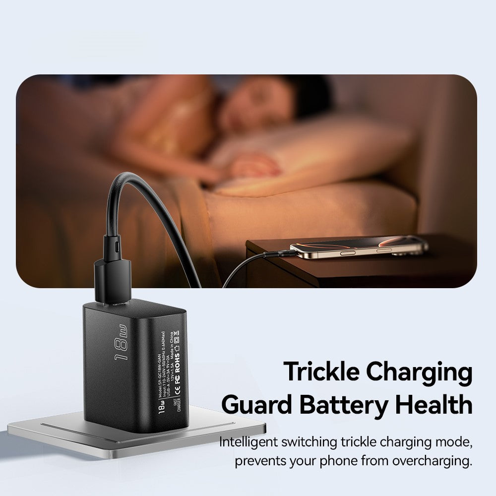 Wall Charger 