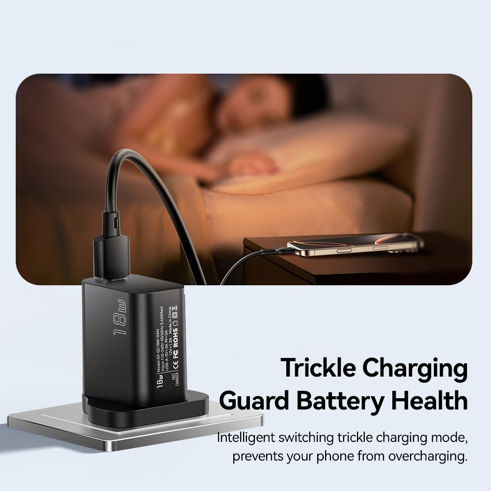 Wall Charger 