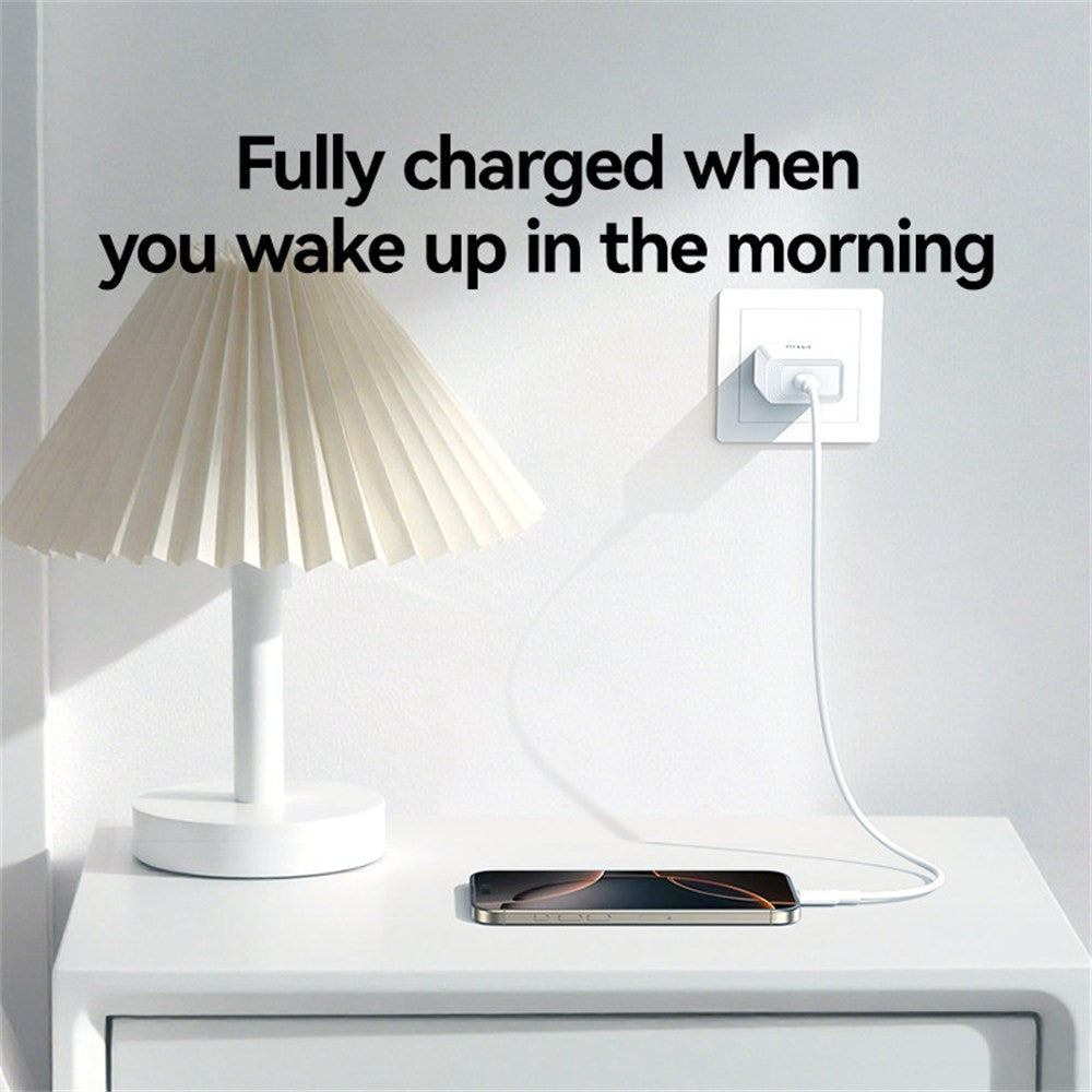 Wall Charger 