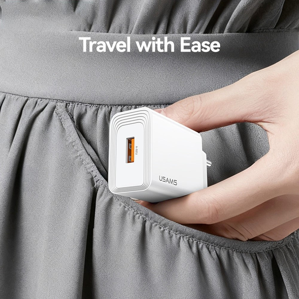 Wall Charger 