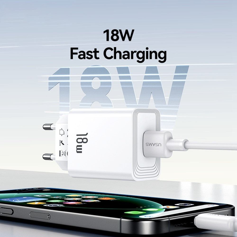 Wall Charger 