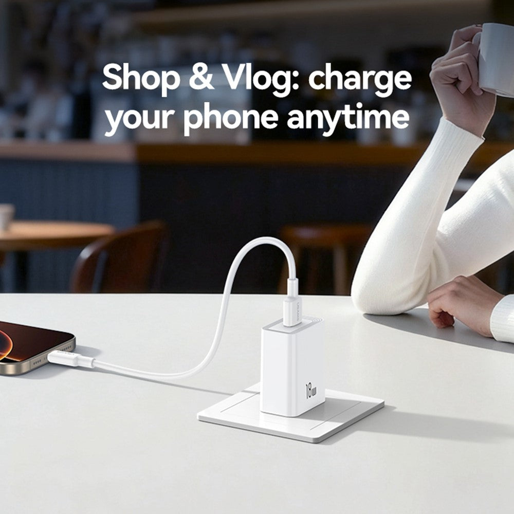 Wall Charger 