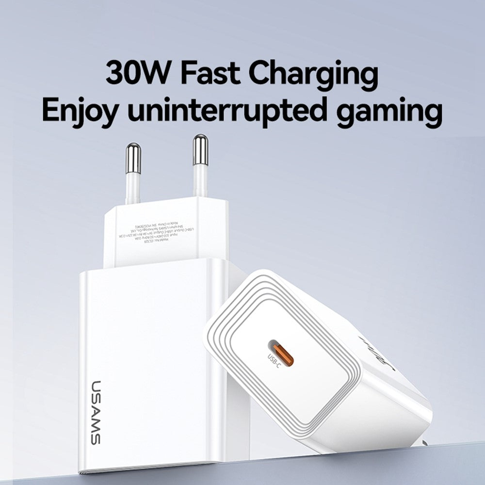 Wall Charger 
