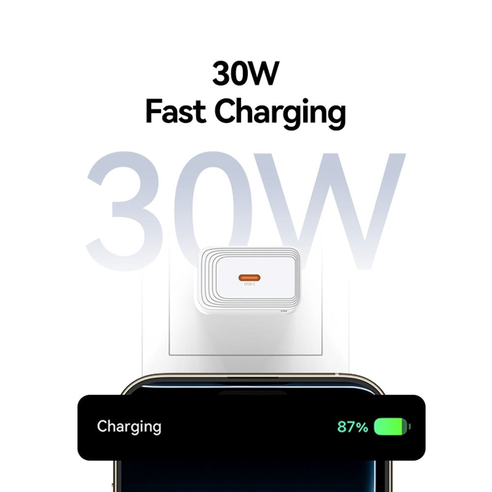 Wall Charger 