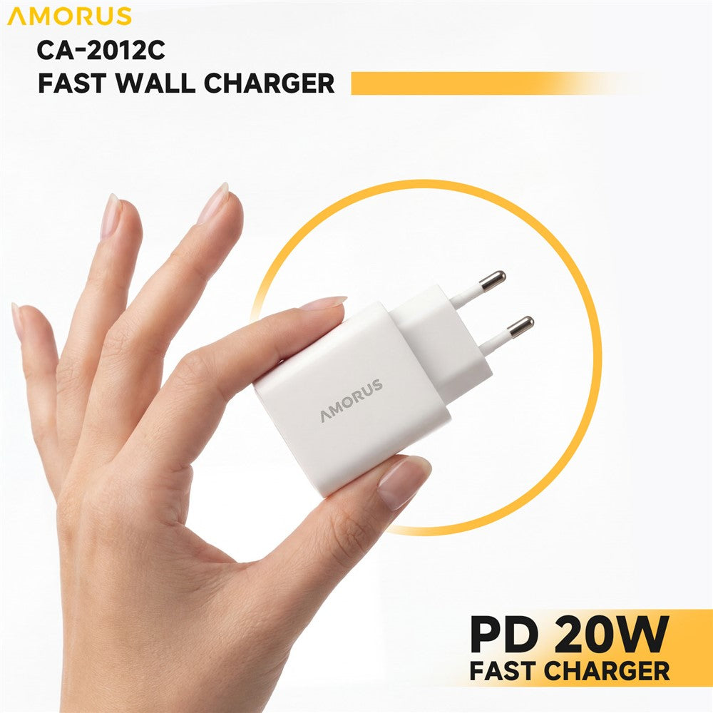 Wall Charger 