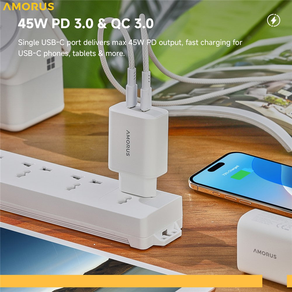 Wall Charger 